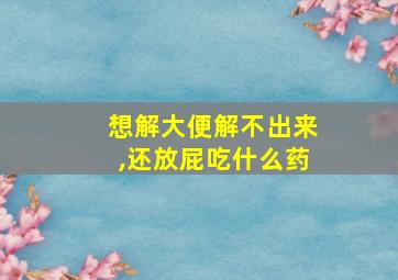 想解大便解不出来,还放屁吃什么药