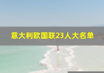 意大利欧国联23人大名单