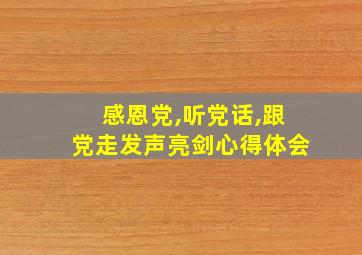 感恩党,听党话,跟党走发声亮剑心得体会