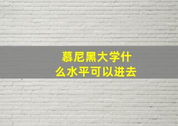 慕尼黑大学什么水平可以进去