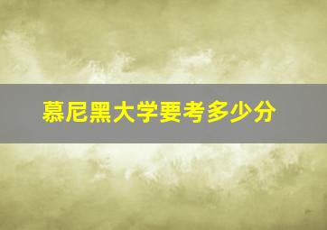 慕尼黑大学要考多少分