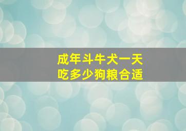 成年斗牛犬一天吃多少狗粮合适