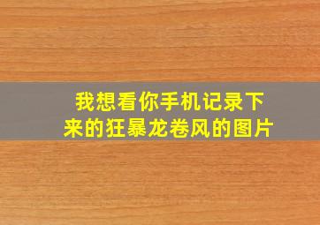 我想看你手机记录下来的狂暴龙卷风的图片