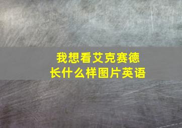 我想看艾克赛德长什么样图片英语