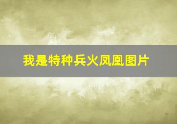 我是特种兵火凤凰图片