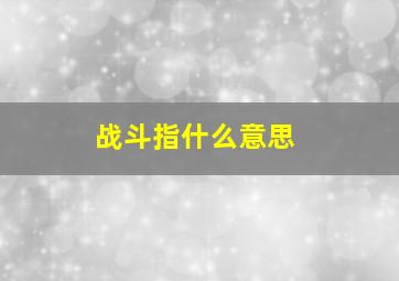 战斗指什么意思