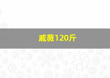 戚薇120斤