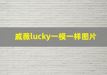 戚薇lucky一模一样图片