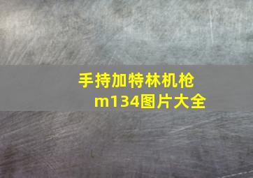 手持加特林机枪m134图片大全