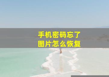 手机密码忘了图片怎么恢复