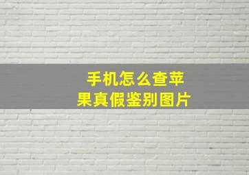 手机怎么查苹果真假鉴别图片