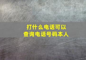 打什么电话可以查询电话号码本人