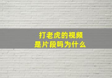 打老虎的视频是片段吗为什么