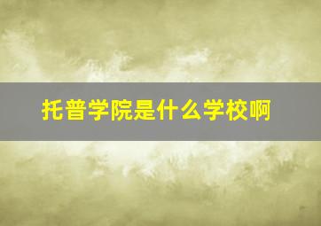 托普学院是什么学校啊