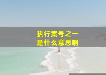 执行案号之一是什么意思啊