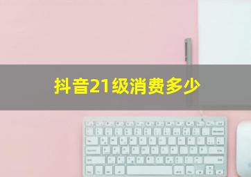 抖音21级消费多少