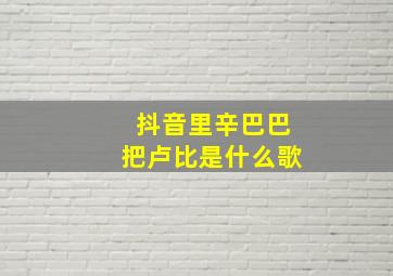 抖音里辛巴巴把卢比是什么歌