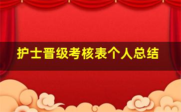 护士晋级考核表个人总结