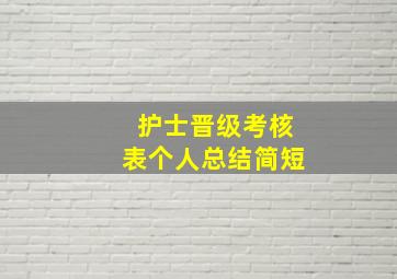 护士晋级考核表个人总结简短