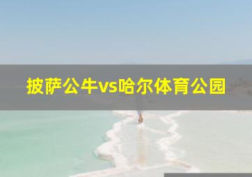 披萨公牛vs哈尔体育公园