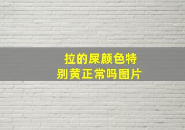 拉的屎颜色特别黄正常吗图片