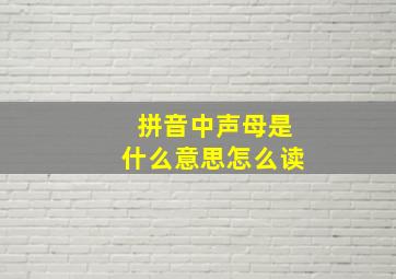 拼音中声母是什么意思怎么读