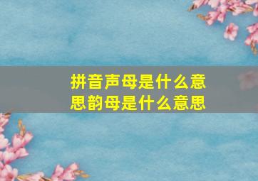 拼音声母是什么意思韵母是什么意思