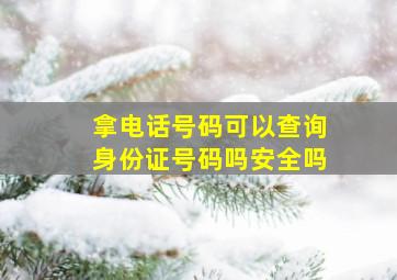 拿电话号码可以查询身份证号码吗安全吗