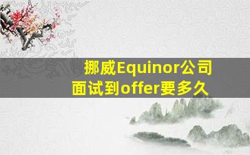 挪威Equinor公司面试到offer要多久