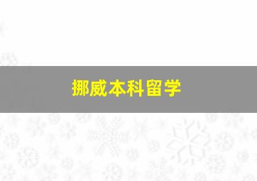 挪威本科留学