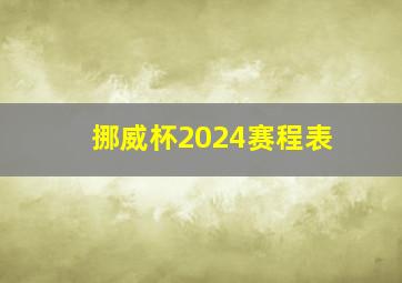 挪威杯2024赛程表