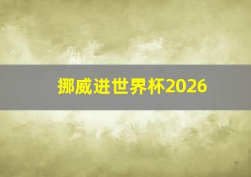 挪威进世界杯2026