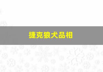 捷克狼犬品相