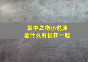 掌中之物小说原著什么时候在一起