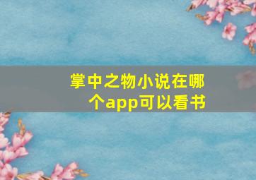 掌中之物小说在哪个app可以看书