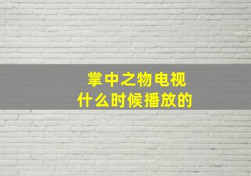 掌中之物电视什么时候播放的