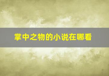 掌中之物的小说在哪看