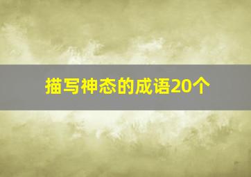 描写神态的成语20个