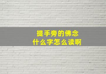 提手旁的佛念什么字怎么读啊