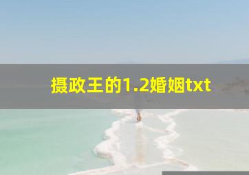 摄政王的1.2婚姻txt