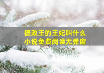 摄政王的王妃叫什么小说免费阅读无弹窗