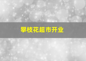 攀枝花超市开业