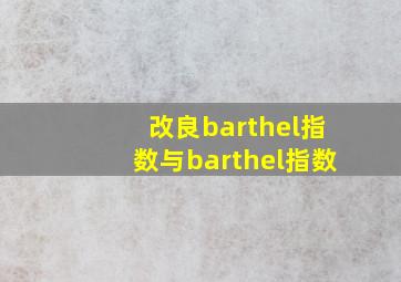 改良barthel指数与barthel指数