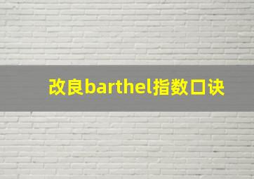 改良barthel指数口诀