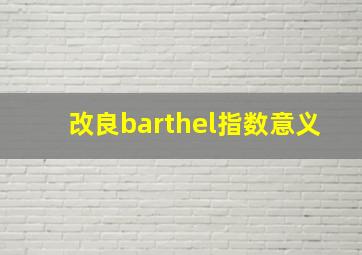 改良barthel指数意义