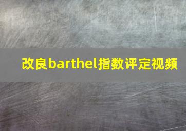 改良barthel指数评定视频