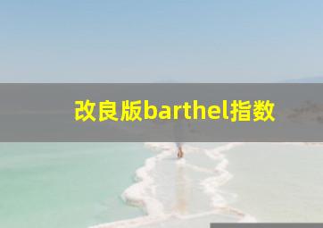 改良版barthel指数