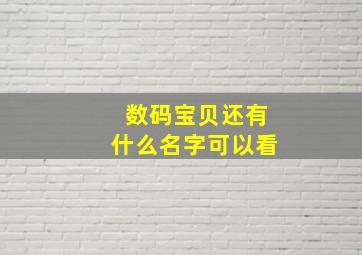 数码宝贝还有什么名字可以看