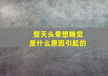 整天头晕想睡觉是什么原因引起的