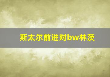 斯太尔前进对bw林茨